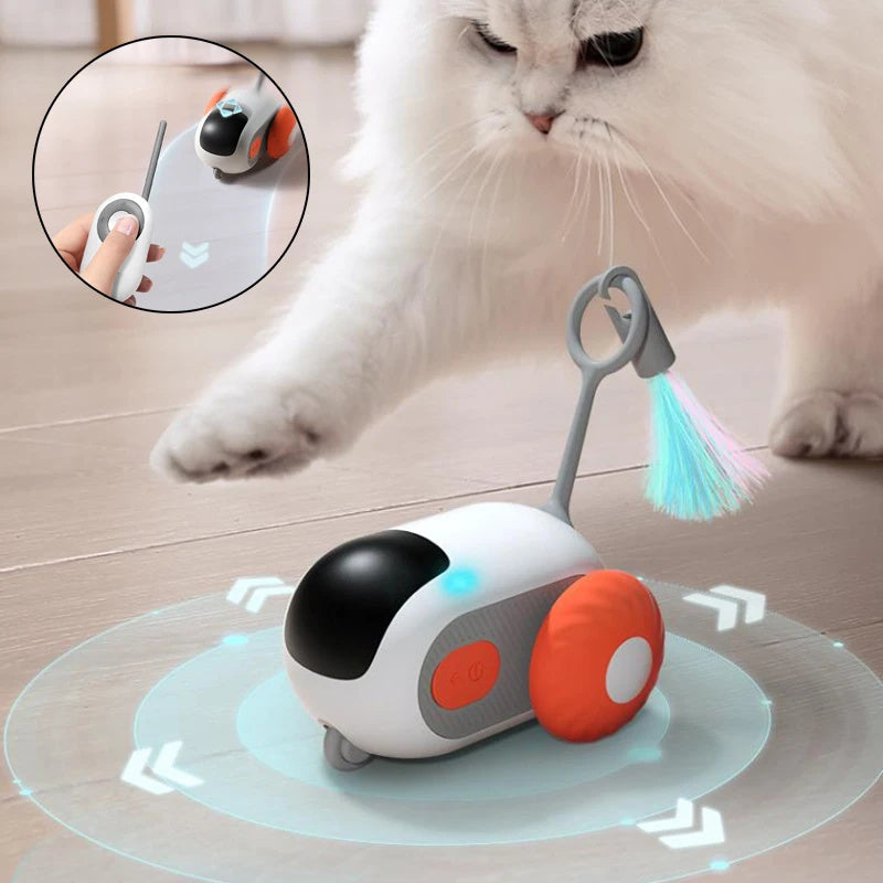 Cat Car Toy