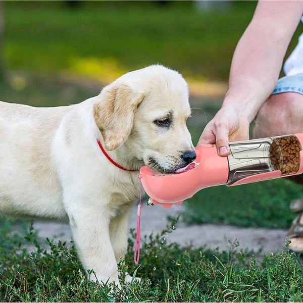 Pet Water Bottle